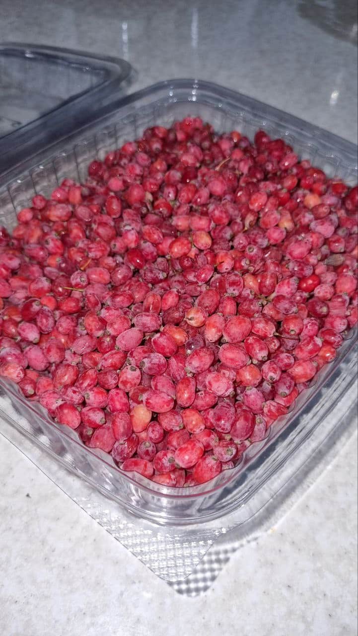 زرشک تازه و آبدار دو بسته | فقط تهران و کرج — تصویر ۴