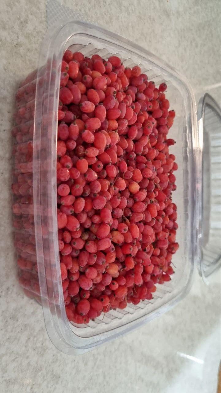زرشک تازه و آبدار دو بسته | فقط تهران و کرج — تصویر ۵