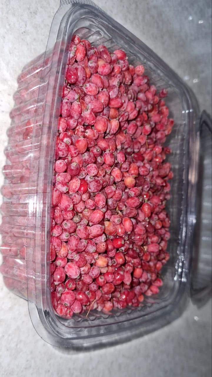 زرشک تازه و آبدار دو بسته | فقط تهران و کرج — تصویر ۳
