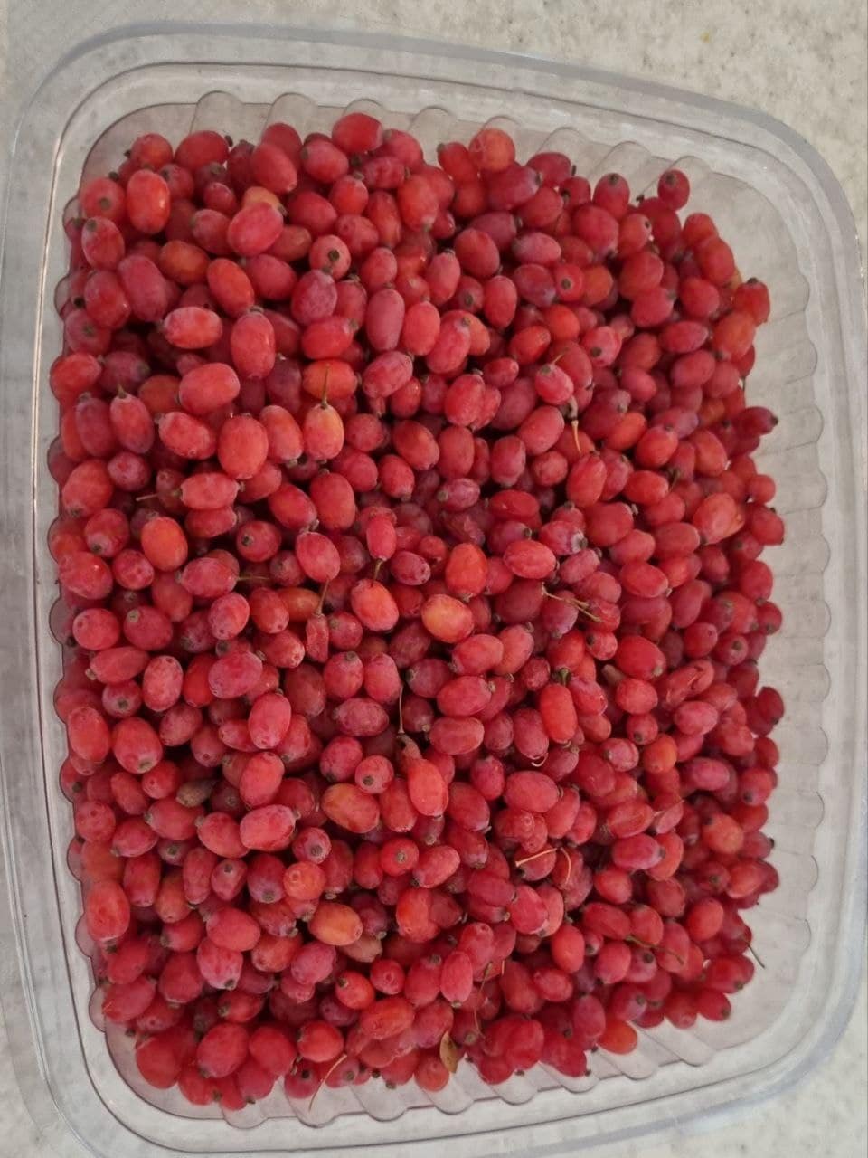 زرشک تازه و آبدار دو بسته | فقط تهران و کرج — تصویر ۶