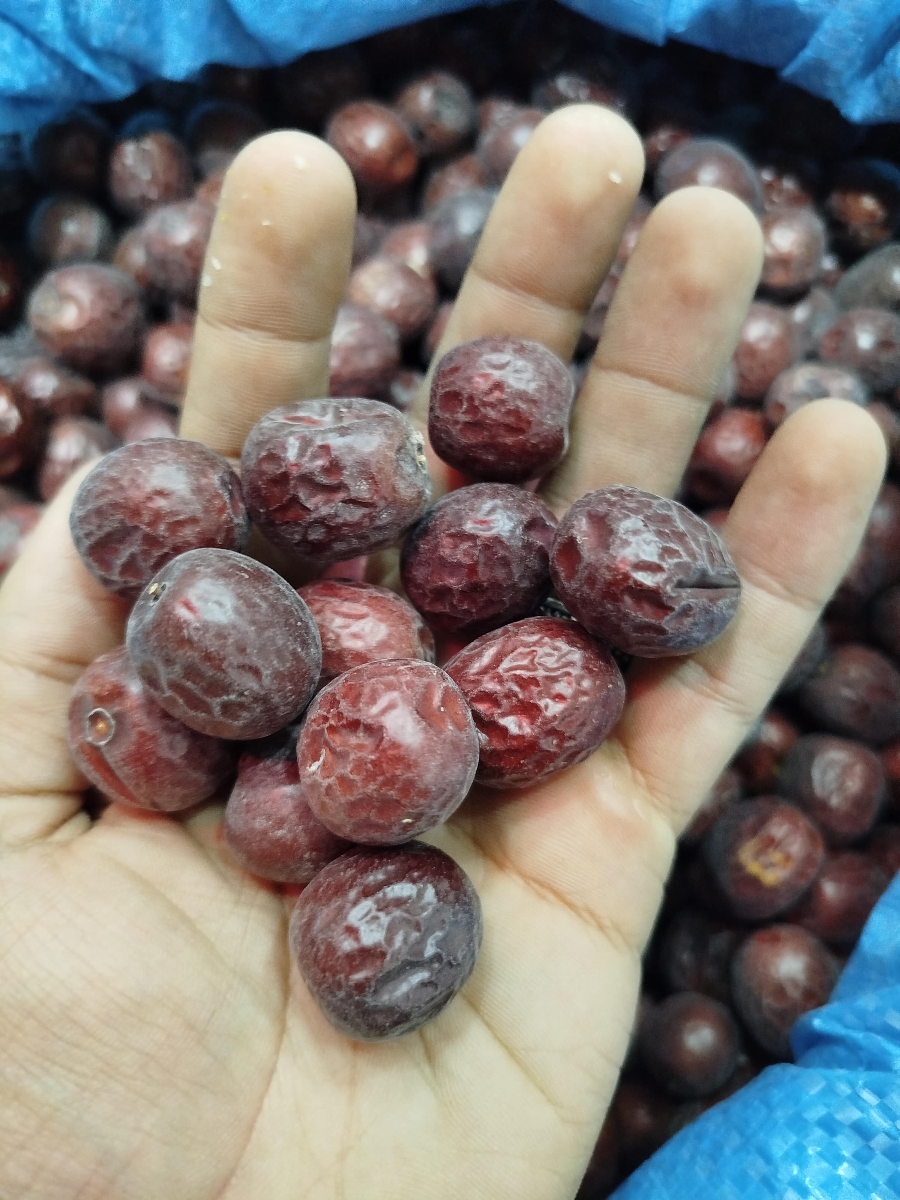 عناب درشت- 1 کیلویی پلاستیک پرسی — تصویر ۷