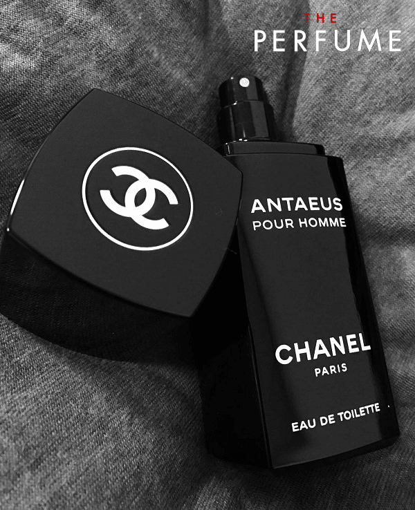 عطر ادکلن شنل آنتئوس اصل | Chanel Antaeus 100ml