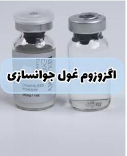 اگزوزوم — تصویر ۳