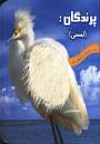 کتاب پرندگان لمسي