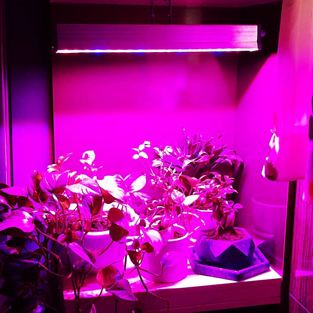 وال واشر LED رشد گیاه ۱۸ وات ~ ۵۴wl فول اسپکتروم — تصویر ۴