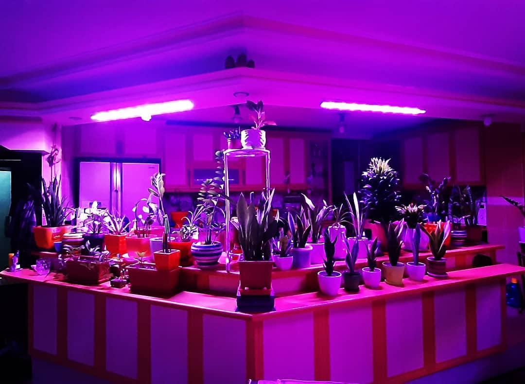 وال واشر LED رشد گیاه ۲۴ وات ~ ۷۲wl فول اسپکتروم — تصویر ۴