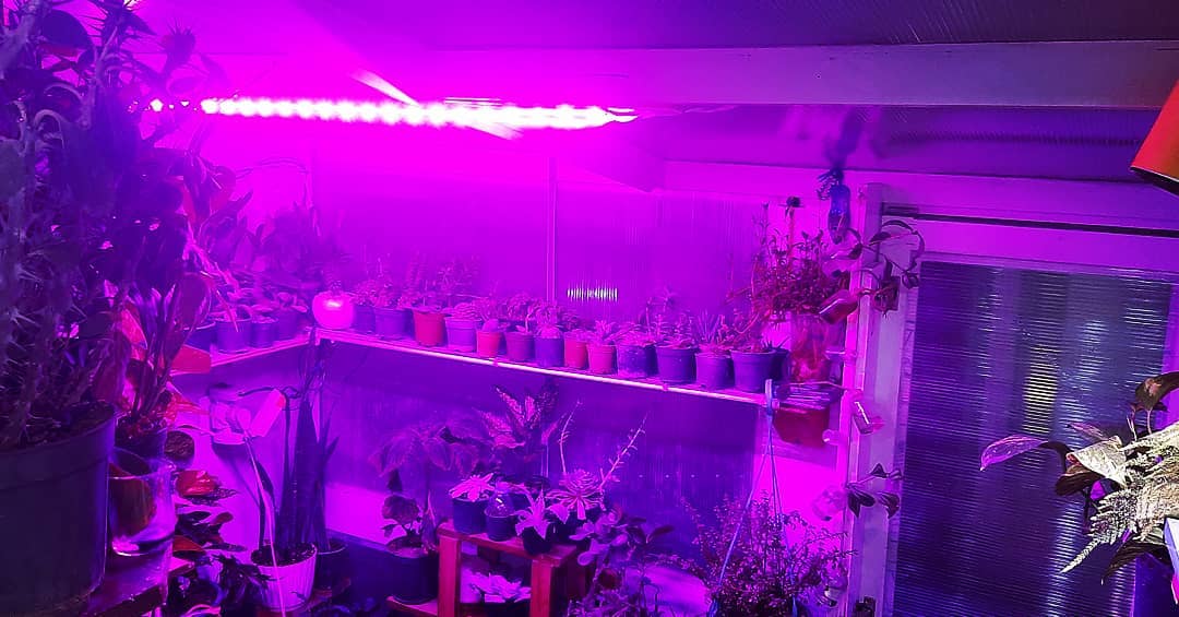 وال واشر LED رشد گیاه ۳۶ وات ~ ۱۱۰wl فول اسپکتروم — تصویر ۶