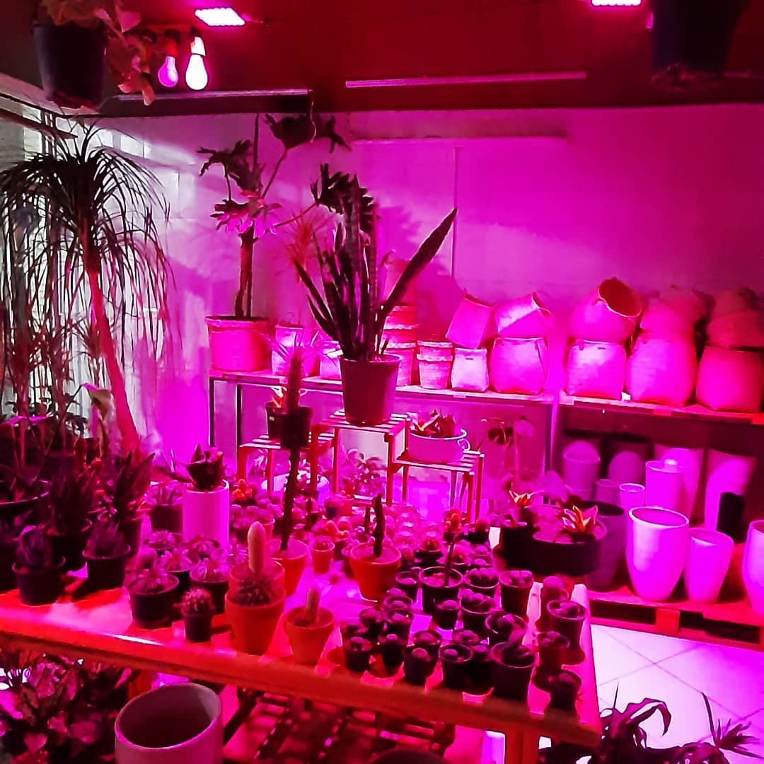 وال واشر LED رشد گیاه ۳۶ وات ~ ۱۱۰wl فول اسپکتروم — تصویر ۵