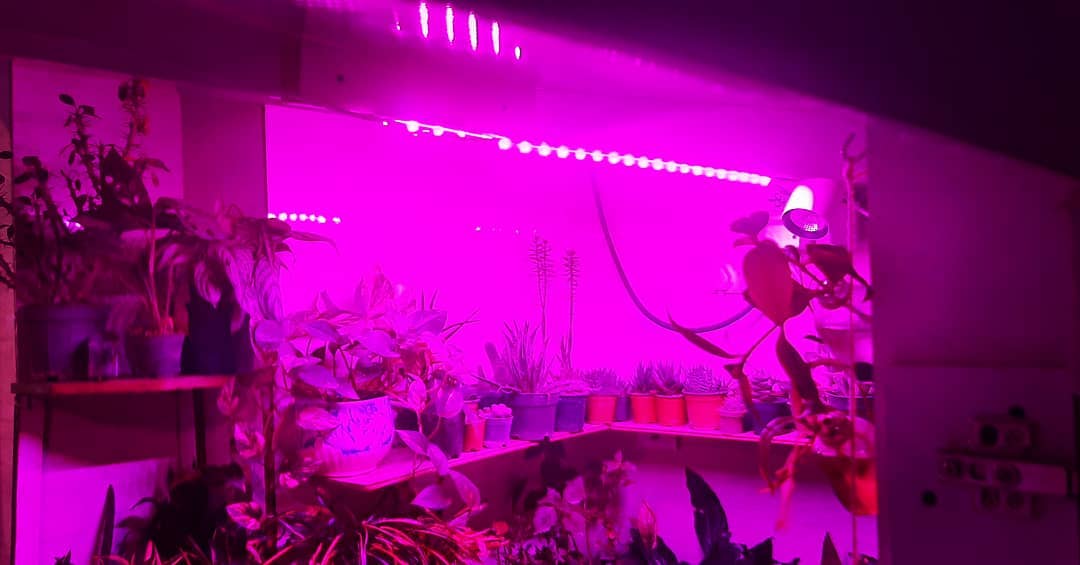 وال واشر LED رشد گیاه ۳۶ وات ~ ۱۱۰wl فول اسپکتروم — تصویر ۷