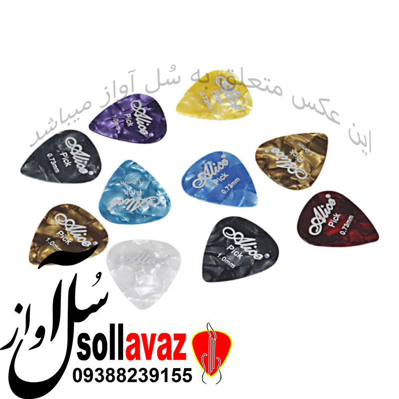 پیک گیتار آلیس — تصویر ۴