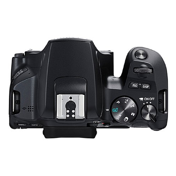دوربین کانن Canon EOS 250D Kit 18-55mm f/4-5.6IS STM + لوازم جانبی — تصویر ۵