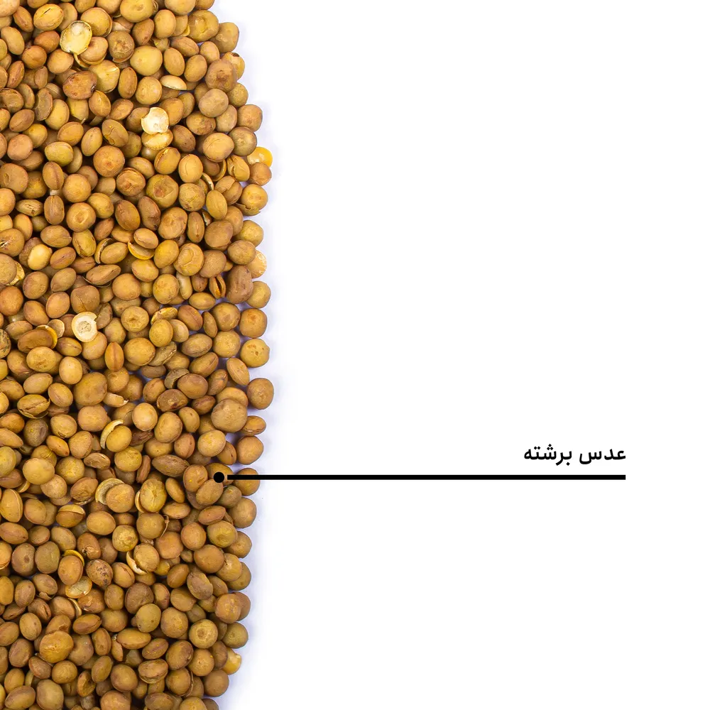 عدس برشته — تصویر ۵