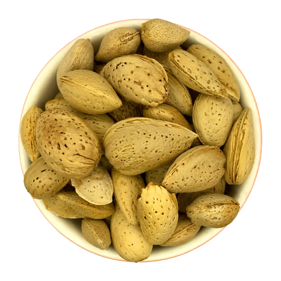 بادام سنگی ایرانی