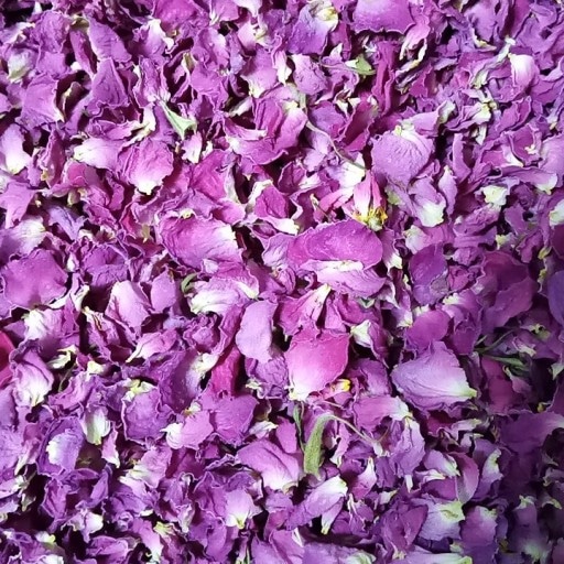 گلبرگ گل محمدی