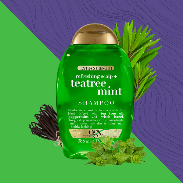 شامپو موی چرب او جی ایکس OGX مدل tea tree mint — تصویر ۳