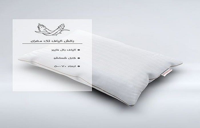 بالش تک مغزی