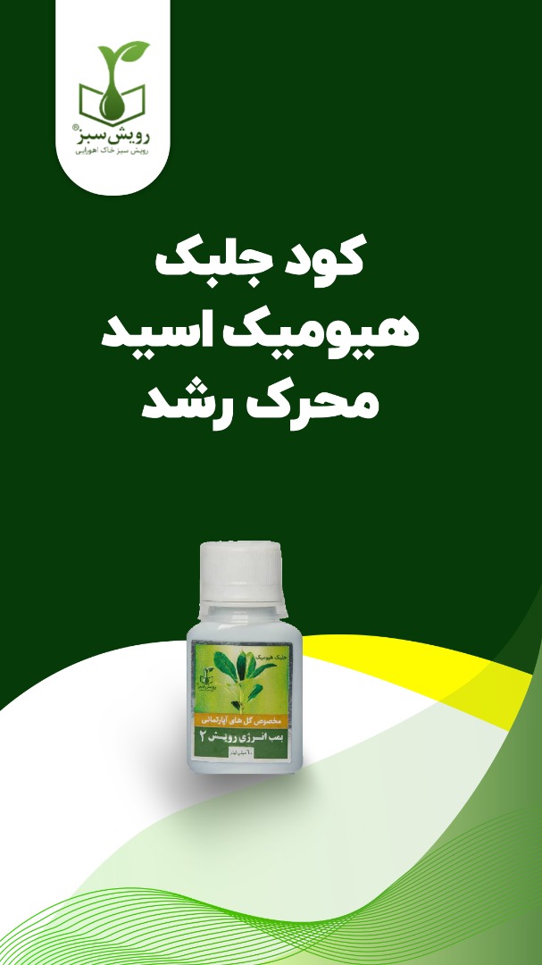 کودرویش 2 (60 سی سی) — تصویر ۳