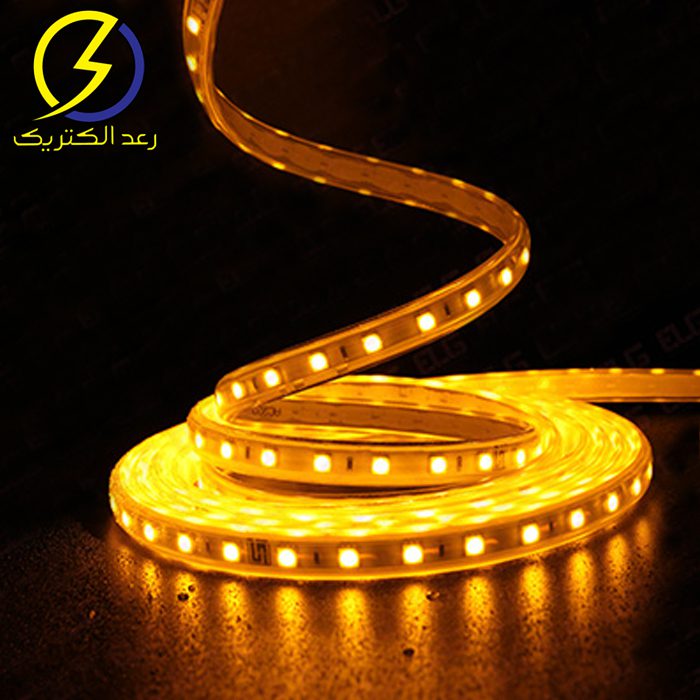 ریسه ال ای دی انبه ایی 220 ولت 2835 تراکم 60 لوپ لایت — تصویر ۲
