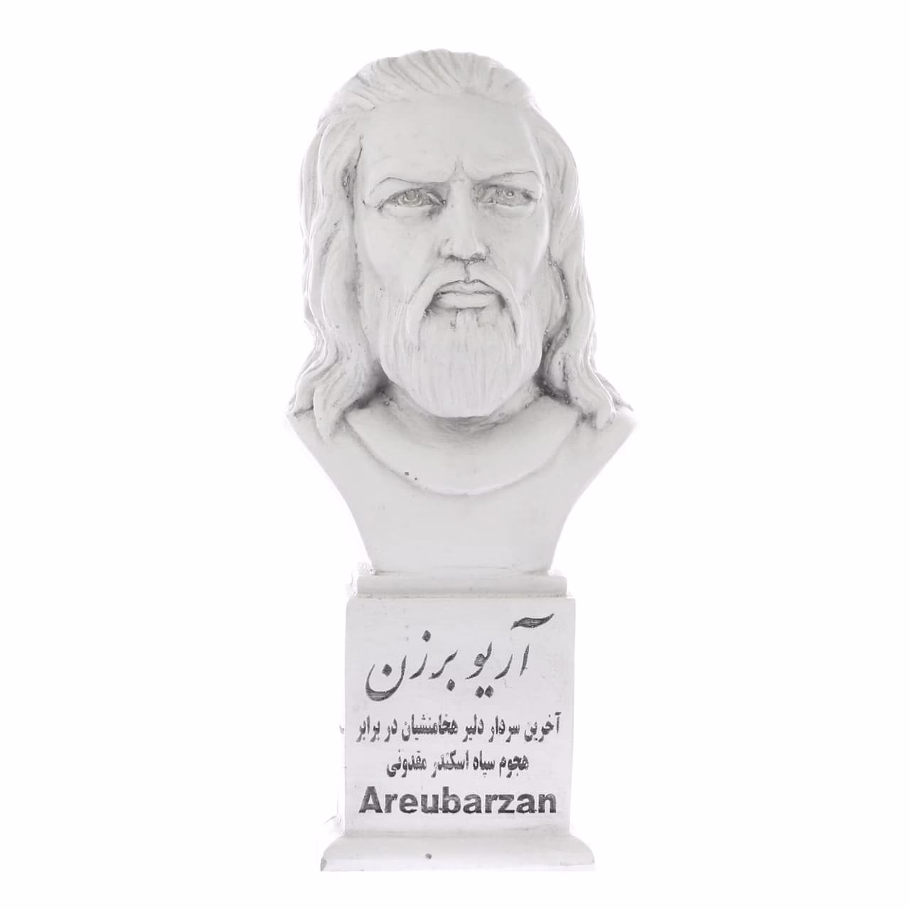 سردیس آریو برزن