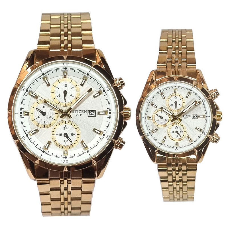 ساعت مچی ست سیتیزن مدل CITIZEN VIP PT-7576WS — تصویر ۲