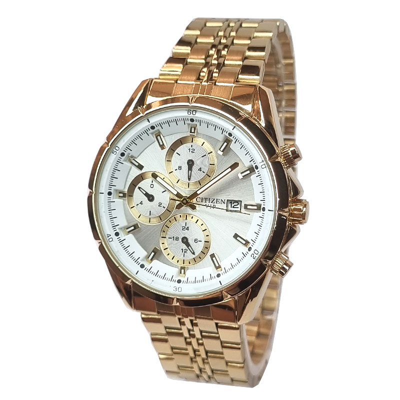 ساعت مچی ست سیتیزن مدل CITIZEN VIP PT-7576WS — تصویر ۳