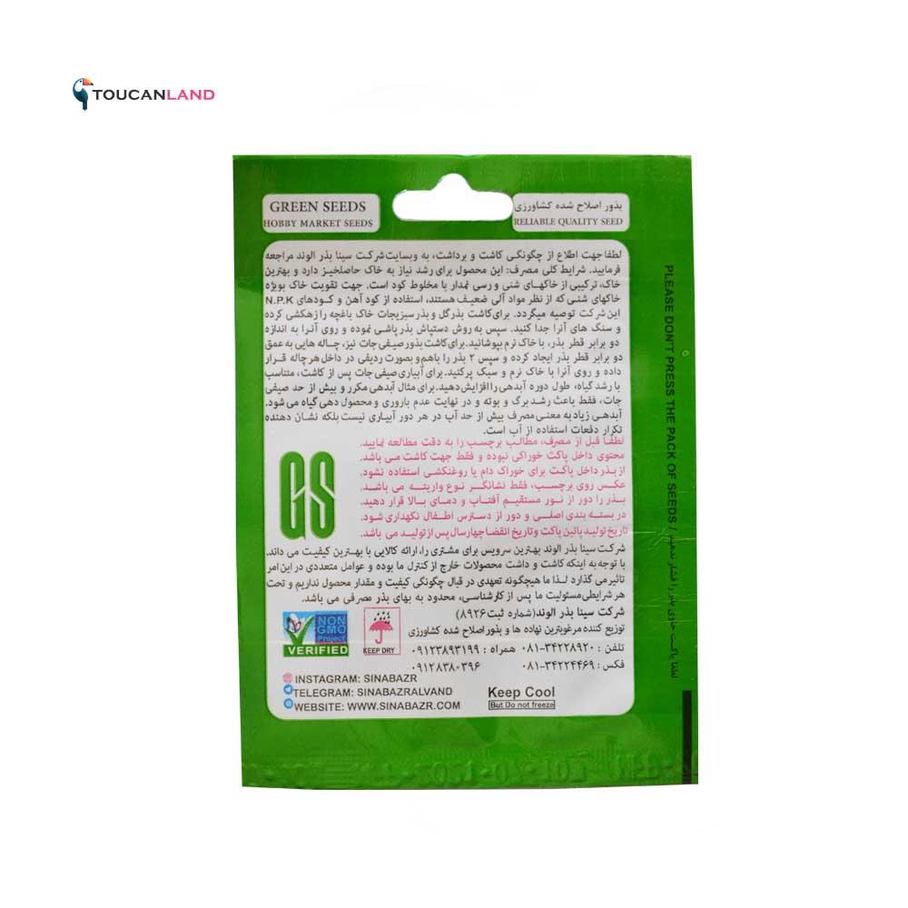 بذر خیار بوته ای Elisa F1 گرین سید — تصویر ۳