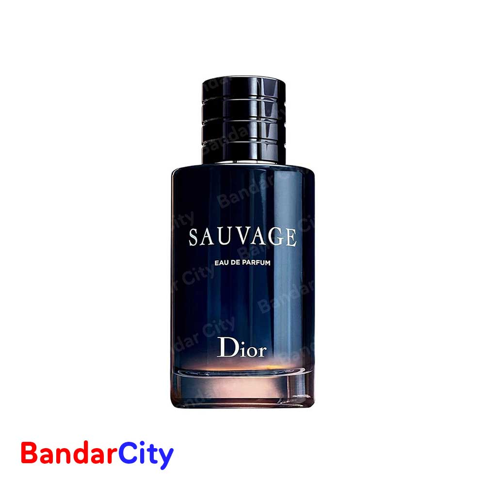 ادوپرفیوم مردانه برند هارلینگن مدل Dior SAUVAGE حجم 100 میلی لیتر | انقضا: 1407.02.17