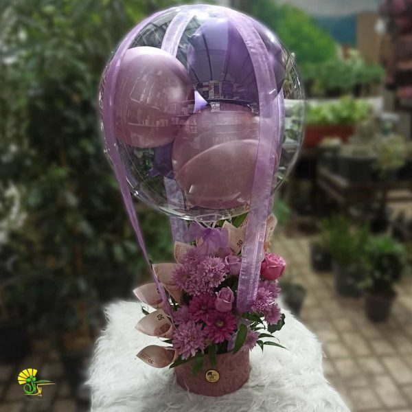 بوبوبالن تمنا — تصویر ۴