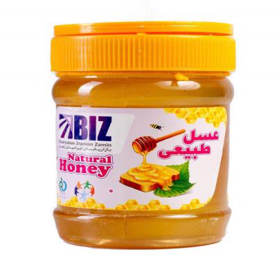 عسل دکتر بیز 500 گرم استاندارد ساکاروز 5 درصد