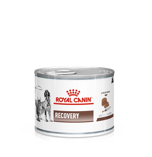 کنسرو گربه ریکاوری رویال کنین (وزن 195G) RECOVERY Cat & Dog_ROYAL CANIN