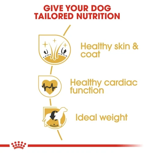 غذای خشک سگ گلدن رتریور رویال کنین (وزن 12KG) GOLDEN RETRIVER_ROYAL CANIN — تصویر ۴