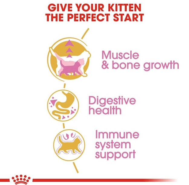 غذای خشک بچه گربه (کیتن) بریتیش شرت هیر رویال کنین (وزن 2KG) BRITISH SHORT HAIR (KITTEN)-ROYAL CANIN — تصویر ۴
