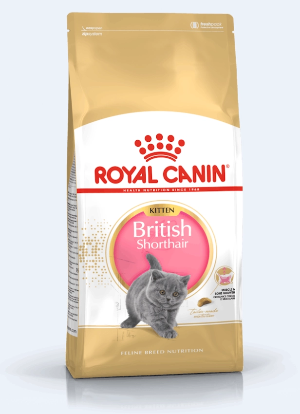 غذای خشک بچه گربه (کیتن) بریتیش شرت هیر رویال کنین (وزن 2KG) BRITISH SHORT HAIR (KITTEN)-ROYAL CANIN — تصویر ۲