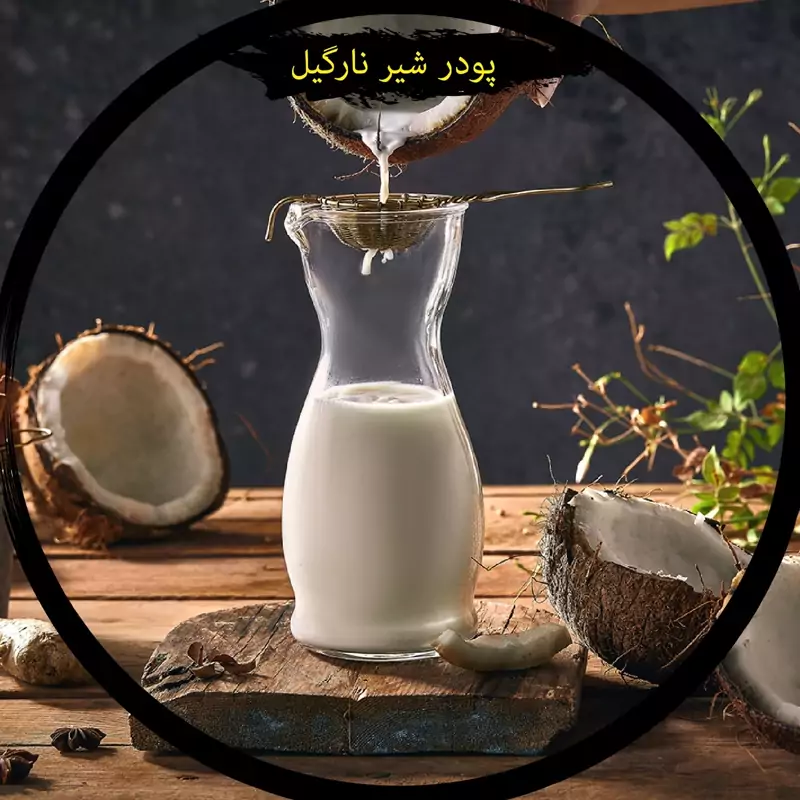 پودر شیر نارگیل بسته یک کیلویی — تصویر ۲