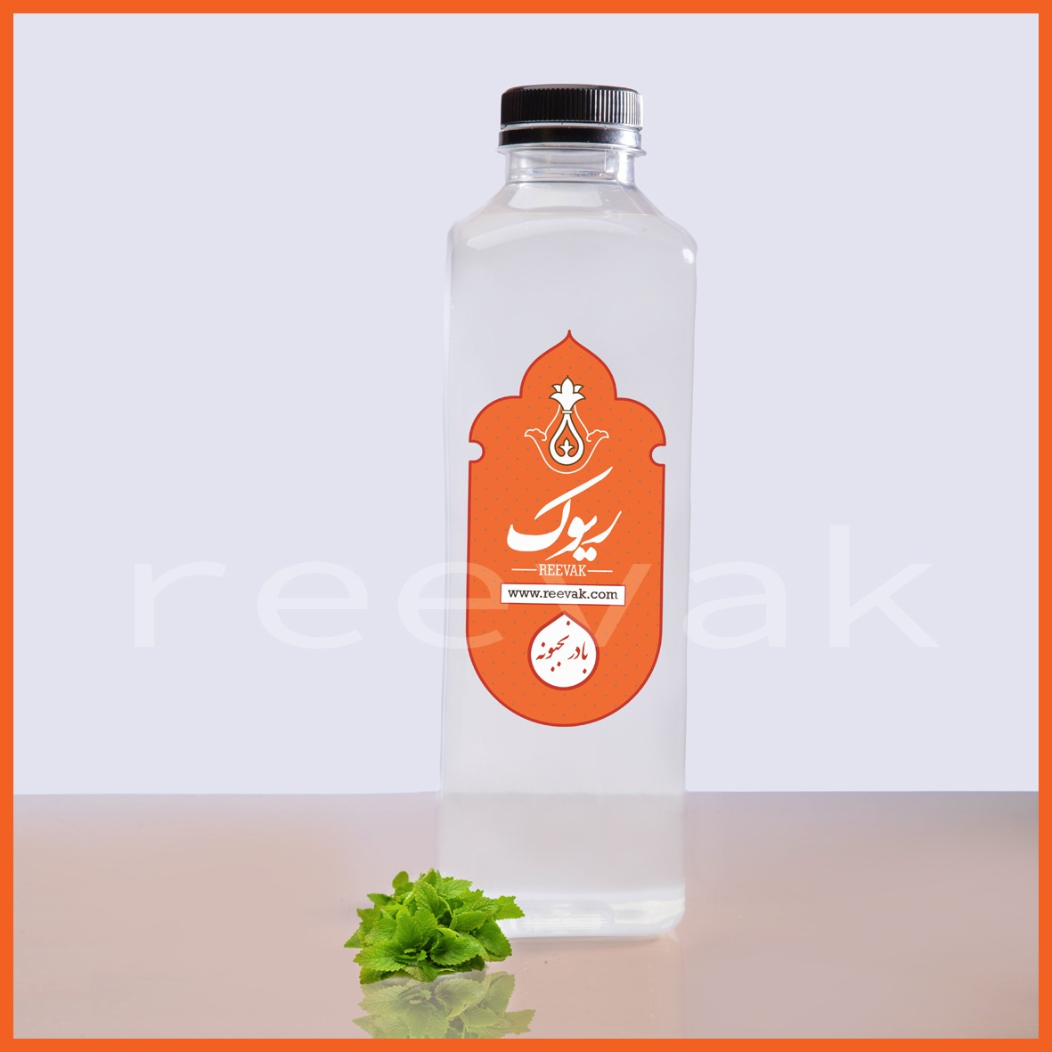 عرق بادرنجبویه
