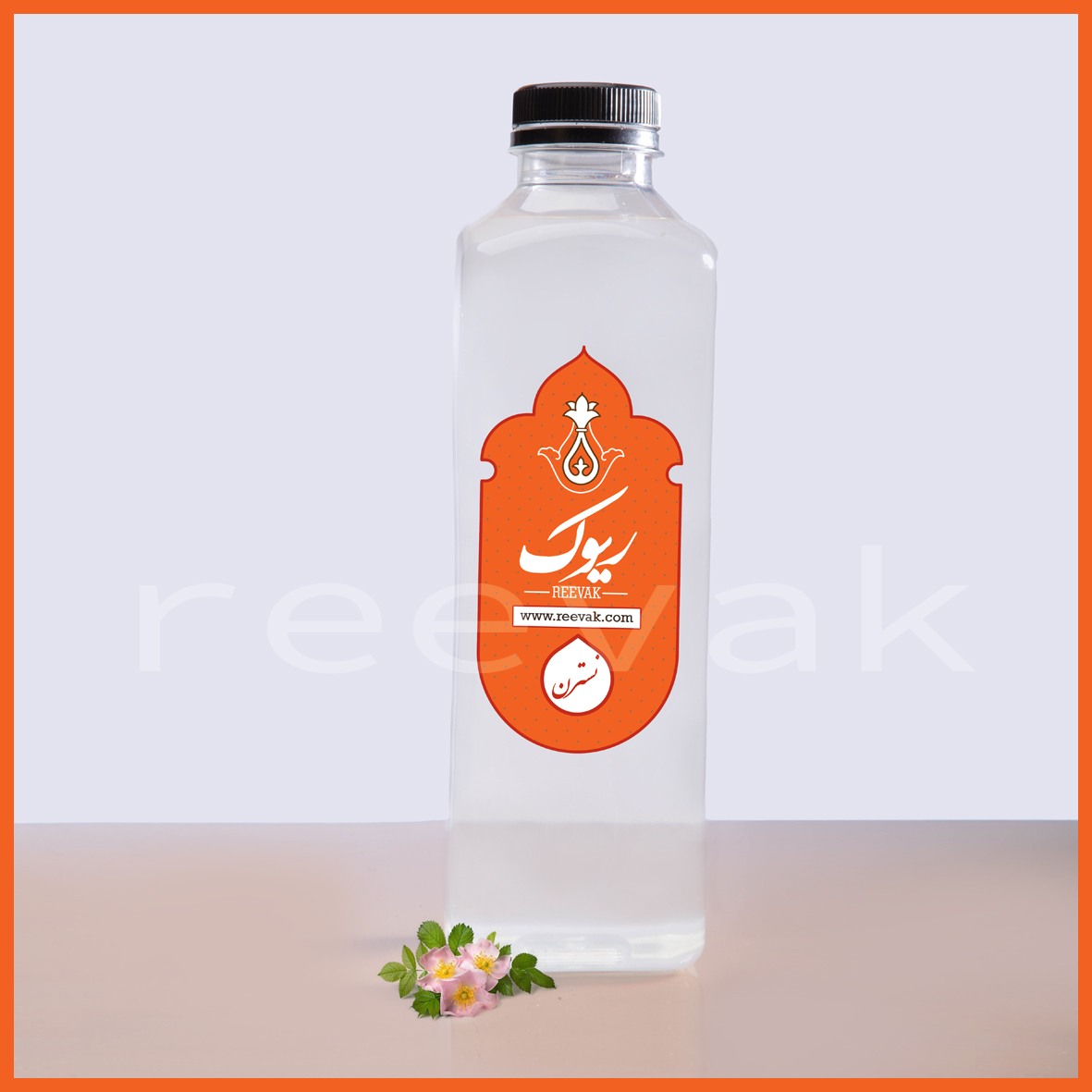 عرق نسترن