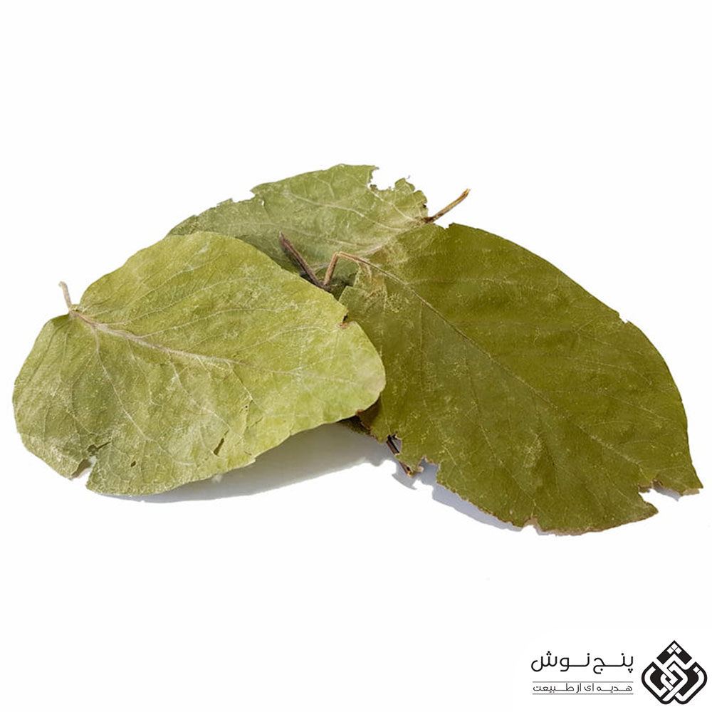 برگ به خشک ( مفید برای رفع گرفتگی عروق قلب) 50گرمی