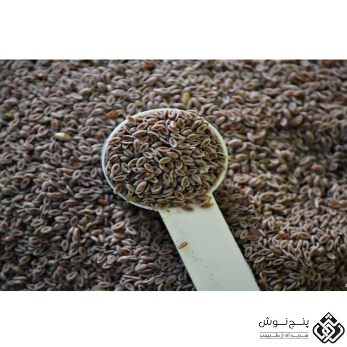 بارهنگ 50گرمی — تصویر ۴