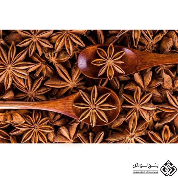 انیسون ستاره ای یا بادیان ختایی (آنتی اکسیدان و ضد باکتری) 50گرمی — تصویر ۳