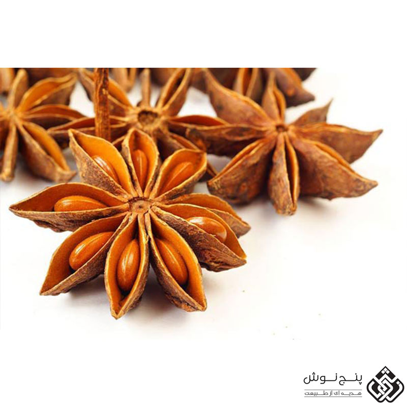 انیسون ستاره ای یا بادیان ختایی (آنتی اکسیدان و ضد باکتری) 50گرمی — تصویر ۲
