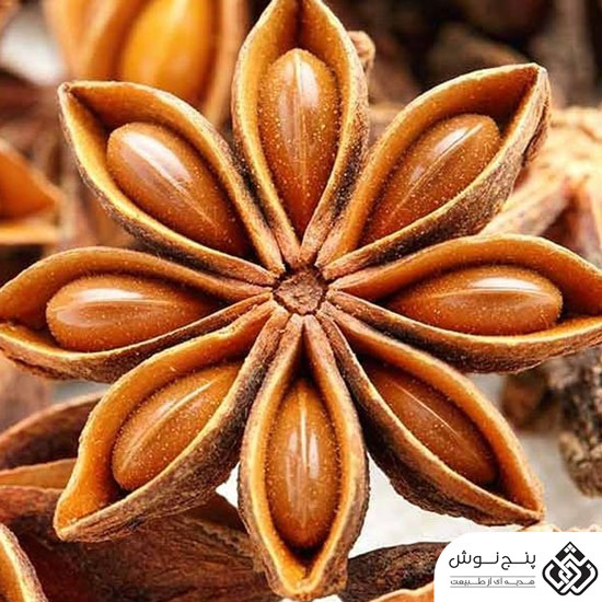 انیسون ستاره ای یا بادیان ختایی (آنتی اکسیدان و ضد باکتری) 50گرمی — تصویر ۴