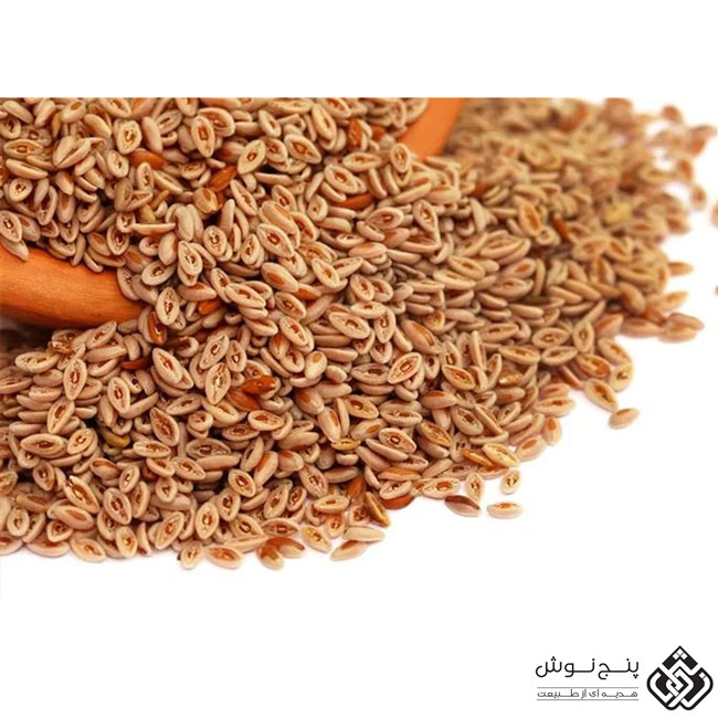 اسفرزه (ملین و نرم کننده شکم) 100گرمی — تصویر ۲