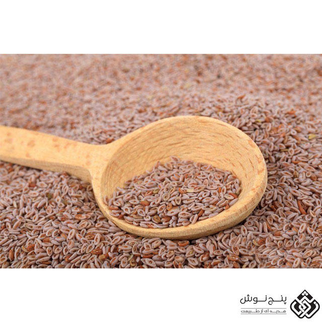 اسفرزه (ملین و نرم کننده شکم) 100گرمی — تصویر ۳