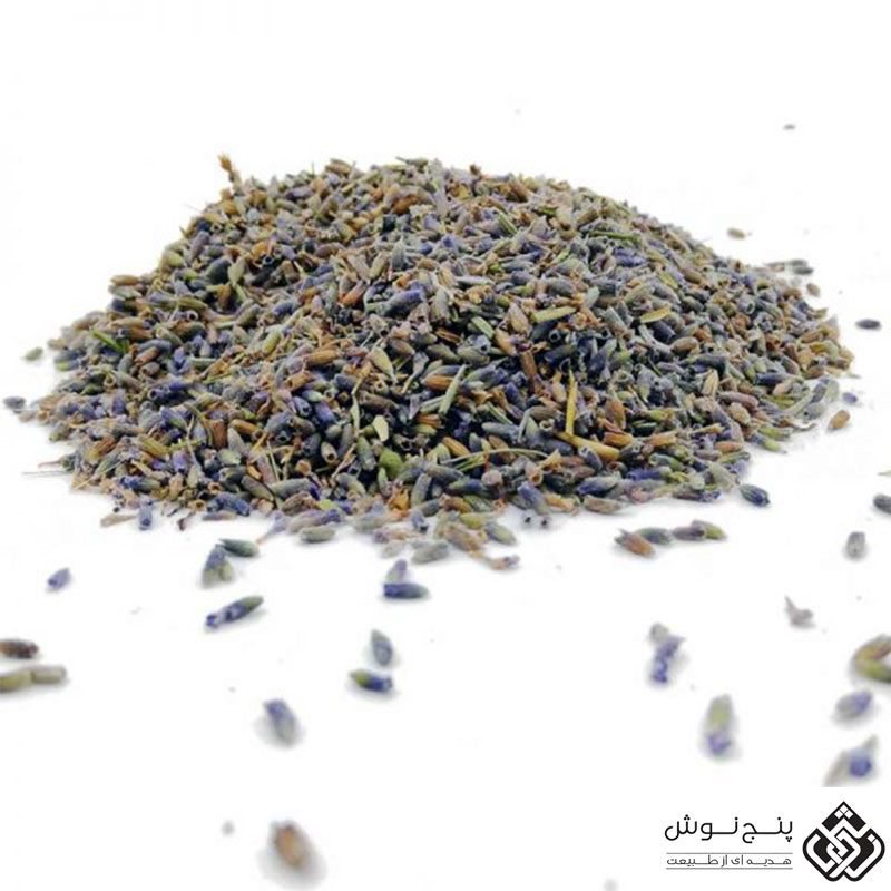 لوندر یا اسطوخودوس ایتالیایی (آرامش بخش و درمان کننده آرتروز) 50گرمی — تصویر ۲