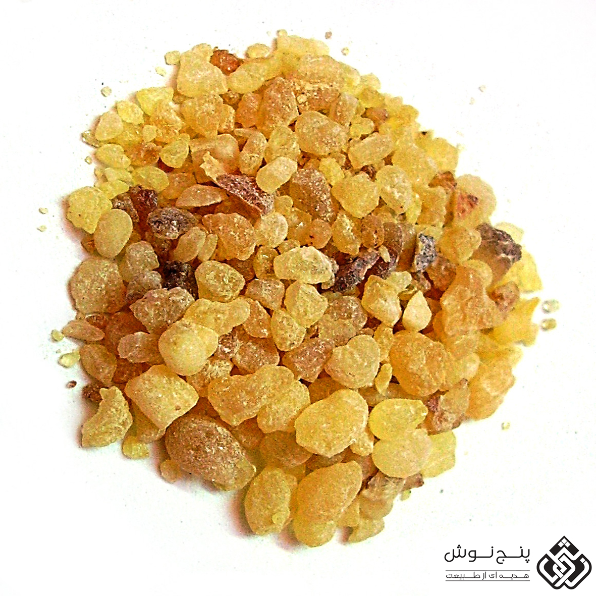 آنغوزه (درمان مشکلات تنفسی و آسم ) 30گرمی — تصویر ۲