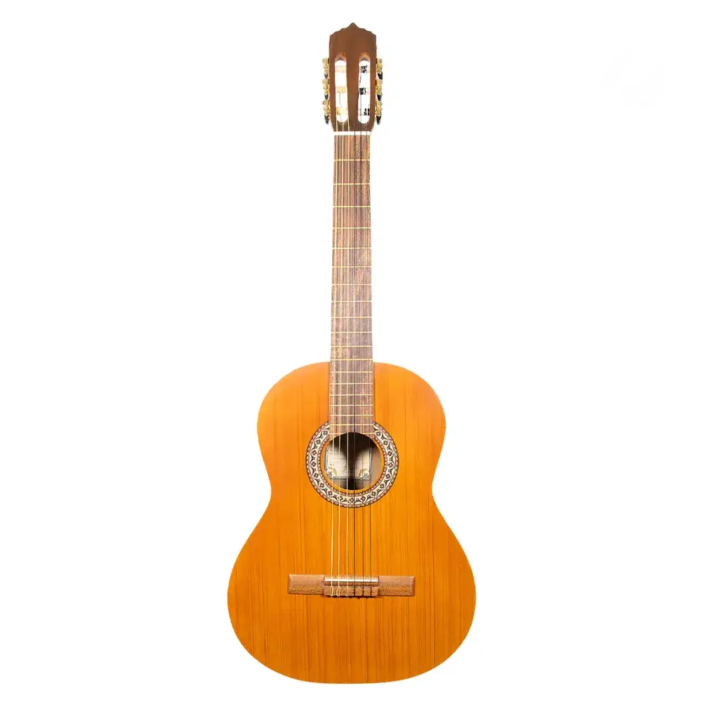 گیتار پارسی M6