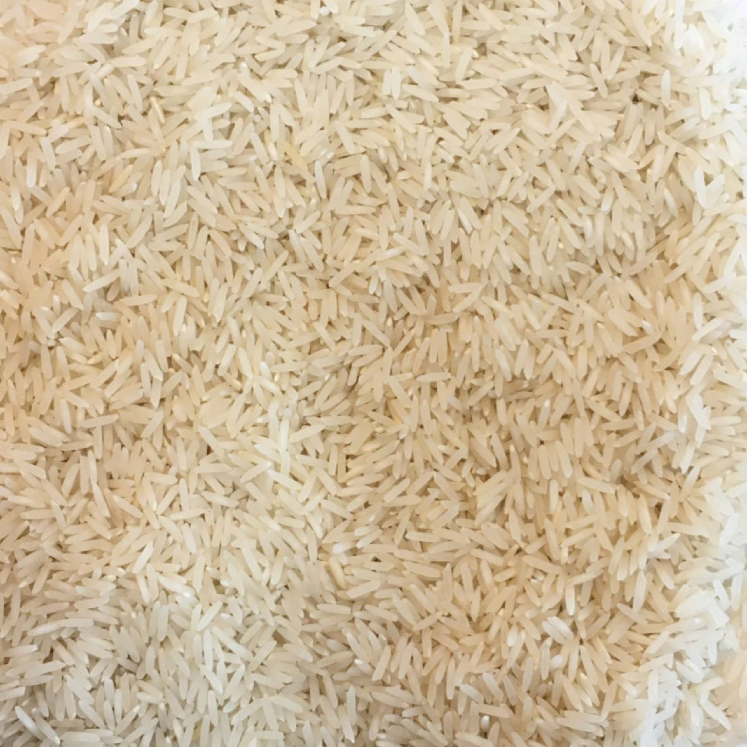 برنج پاکستانی همسایه ۱۰ کیلوگرم — تصویر ۳