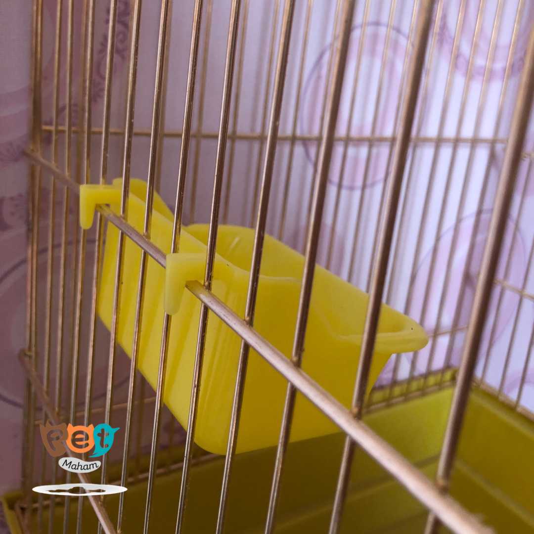 ظرف پرنده مدل ظرف لبه دار کد 1025 — تصویر ۵