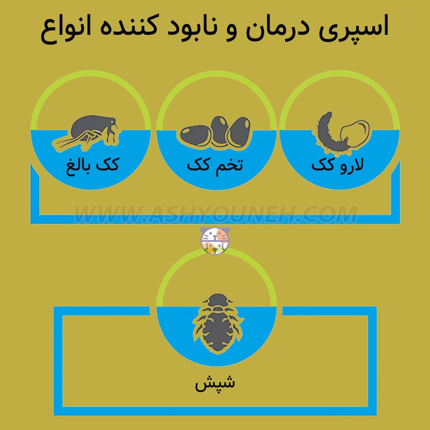 اسپری ضد کک و کنه بایر مدل Advantage، مخصوص سگ و گربه، ۷۱۰ میلی لیتر — تصویر ۳
