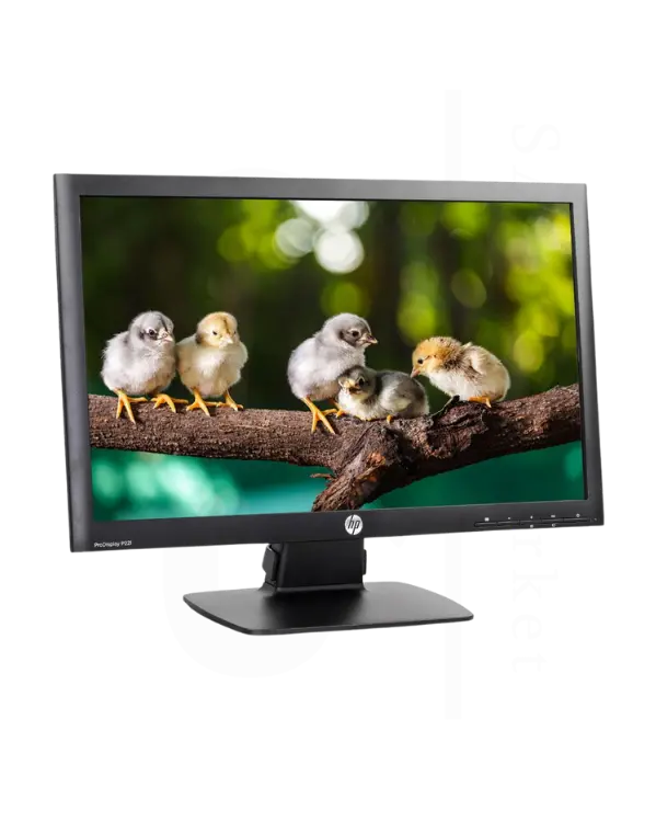 مانیتور استوک HP ProDisplay P221